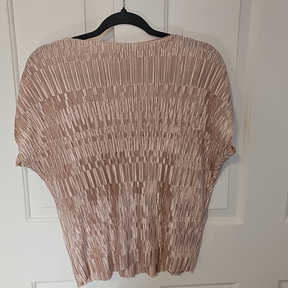 Bohme XL Pleated Short Sleeve Top - Blush - Picture 3 of 3